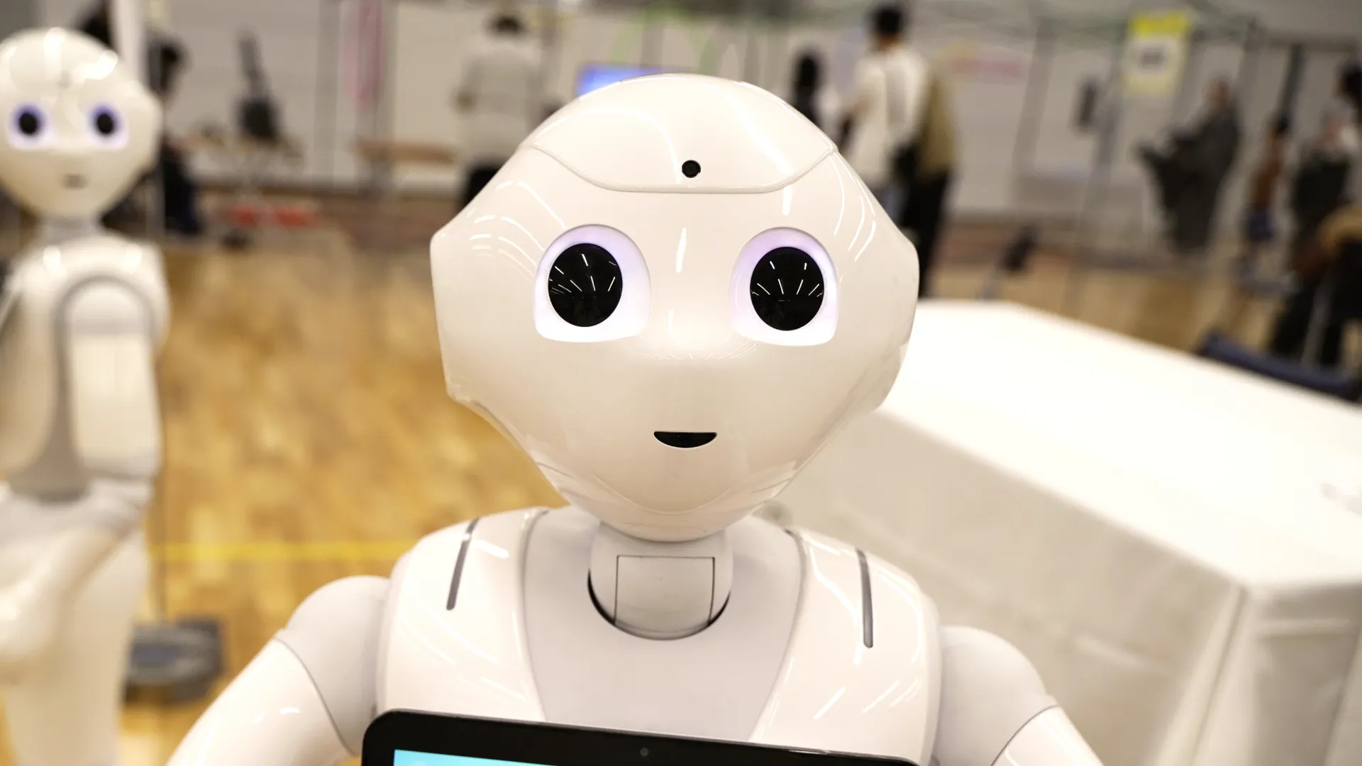 ちょもろー2025 の会場の様子（4）